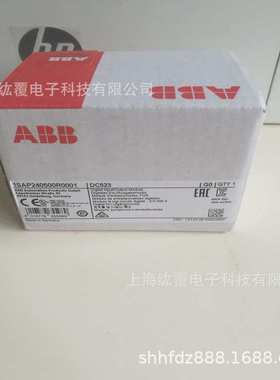 DC523 1SAP240500R0001  ABB PLC输入输出模块