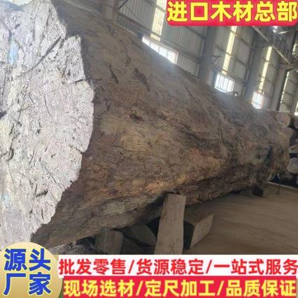 巴西花梨 原木木材 大径高山巴花原木 高档赞比亚花梨大板家具板