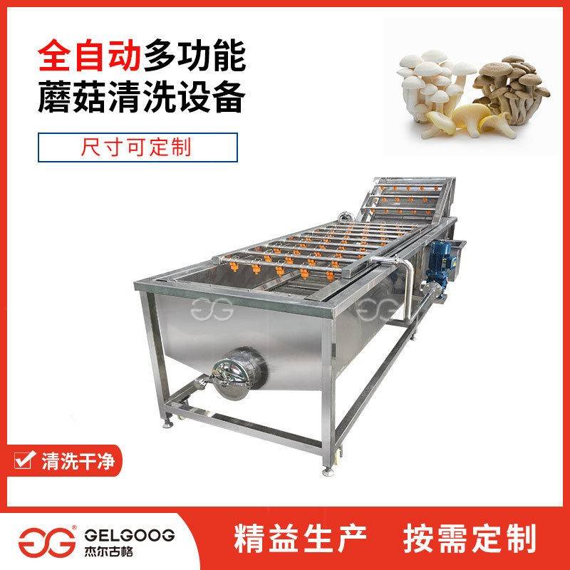 食用菌自动清洗设备 白菇杏鲍菇气泡清洗切片生产线 蘑菇清洗机械