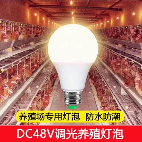 led低压灯泡DC48v伏直流可调光220v灯泡鸡舍家禽养殖螺口照明灯