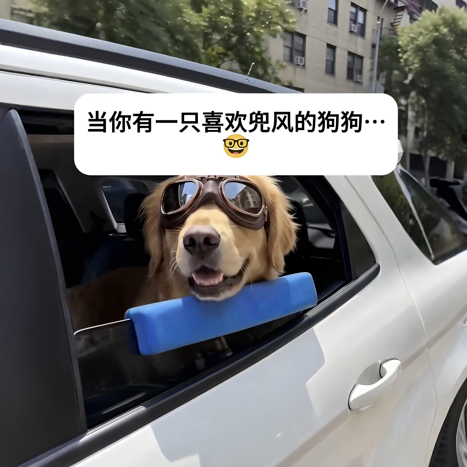 狗生是狂野!宠物车窗下巴托车载托多功能固定托狗狗出门兜风神器