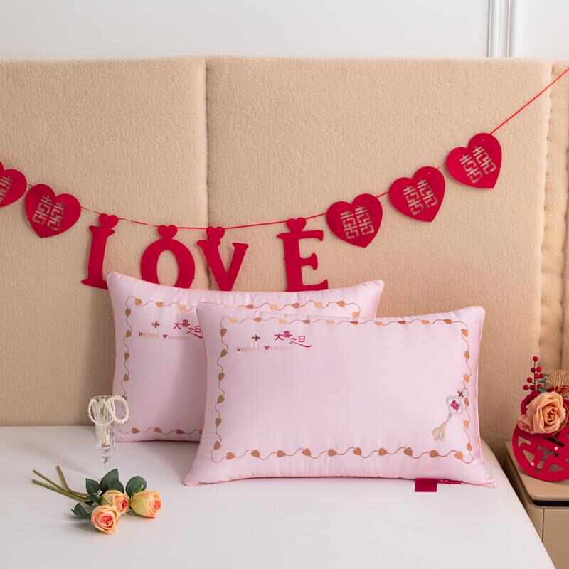 抱枕芯65*80 60*80 60*85婚庆大靠枕芯双人枕1.2 1.5米方垫芯