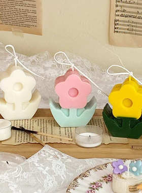 韩式ins风格DIY手工蜡烛模具  立体花朵 香薰蜡烛塑料亚克力模具