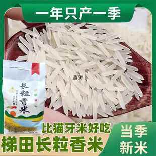 新米贵州梯田长粒香米晚稻农家米自种软米长粒香米细粒长米10斤