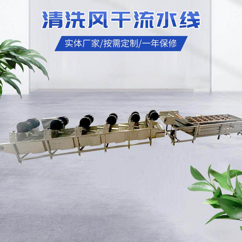 果蔬气泡清洗机水果蔬菜清洗设备全自动大型商用连续叶类洗菜机