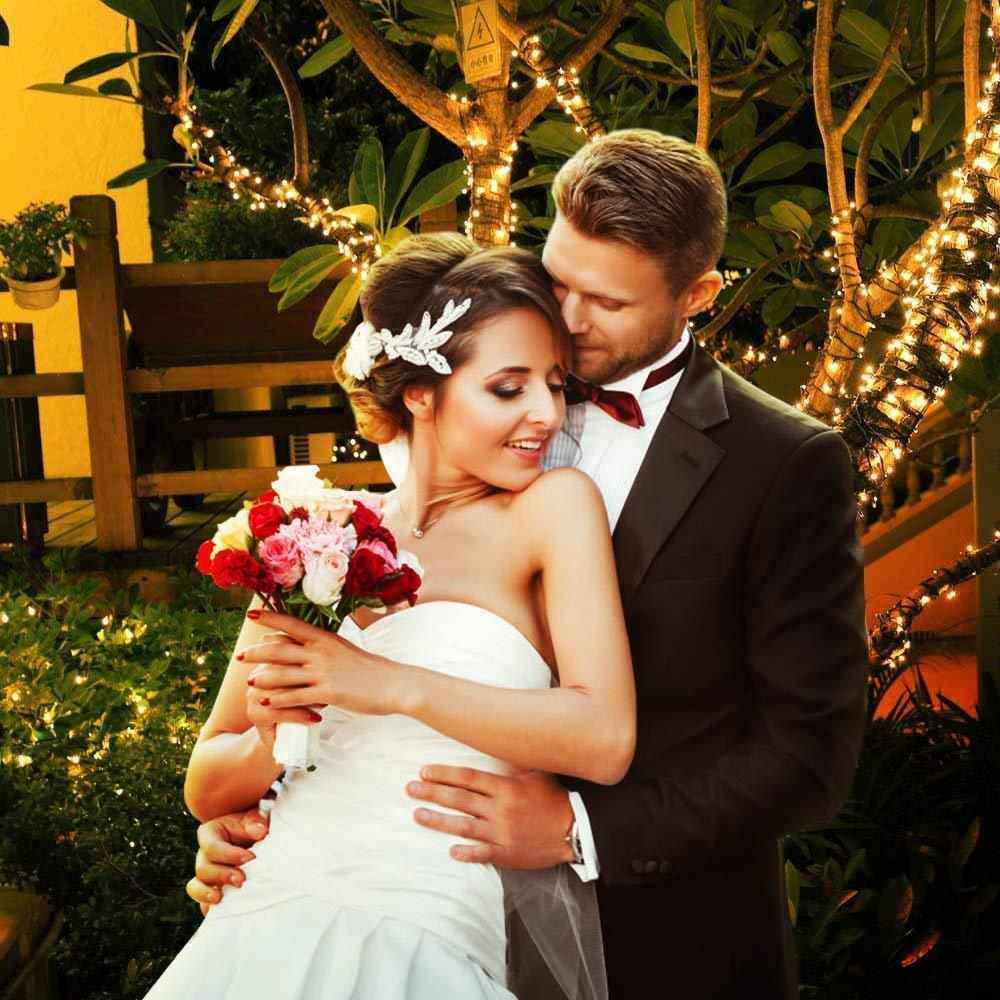 圣诞节LED灯串低压彩灯户外防水庭院节日装饰彩灯变压器串灯无极