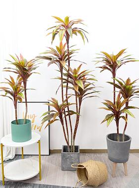 红叶朱蕉绿植客厅家居酒店造景热带雨林景观植物假树盆栽仿真绿植