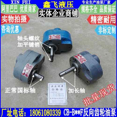 310CB-2.FB4FB6F10F反B向齿轮泵反转5油泵沈阳大B连安阳车床配件