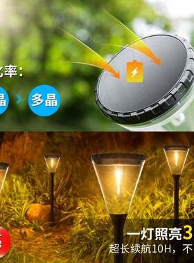 帝舜太阳能灯户外庭院灯高亮别墅照明景观花园地插装饰光控草坪灯