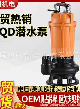 220v动10v英美欧RSB规Q1DX水潜泵370W750W浮球自启停潜水泵2寸污