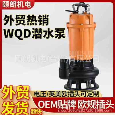 220v动10v英美欧RSB规Q1DX水潜泵370W750W浮球自启停潜水泵2寸污