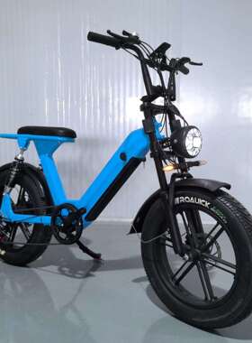 20寸K14宽胎电助力自行车电动自行车