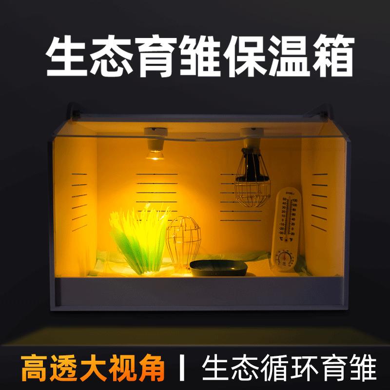 芦丁鸡育雏箱饲养箱加温箱保温温控鸡鸭鹅鹌鹑爬宠箱仓鼠宠物