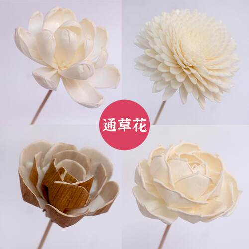 【天猫精选】香薰挥发棒干花藤条干花diy配件无火香薰精油散香香
