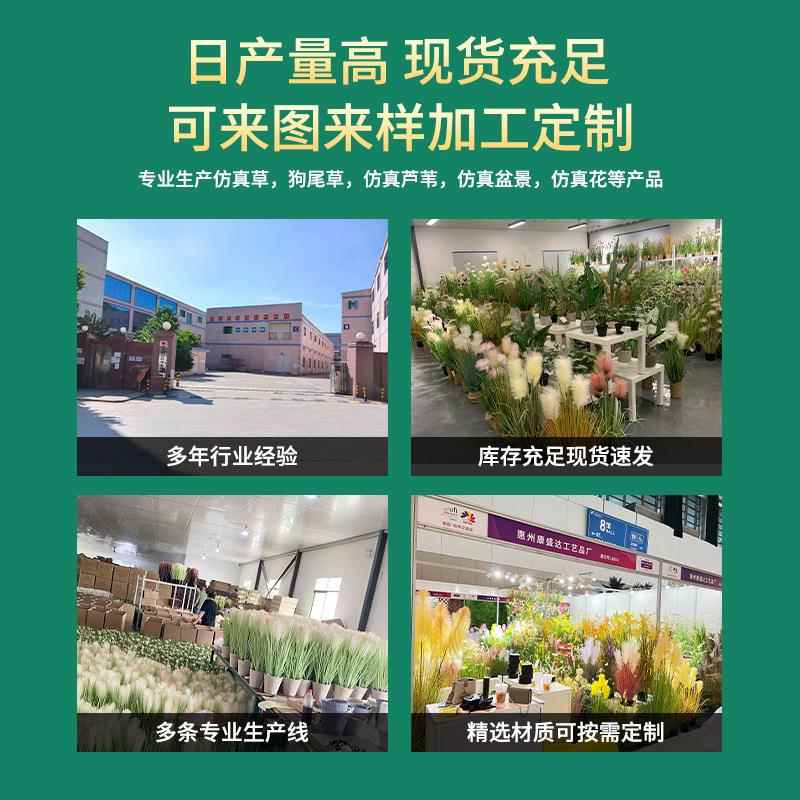 仿OFQ巴真菜花盆景70cm芦苇洋葱草狗尾草蕾丝花草仿真绿植韭盆栽