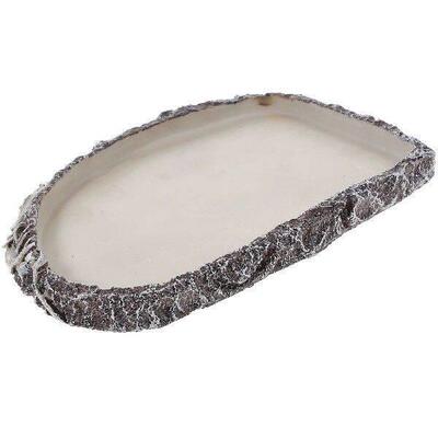 Sea Turtle Lizard Snake Water Basin Reptile Bowl Dispenser