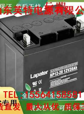 Lapater12V28AH消防设施NP28-12机房UPS应急备用电源