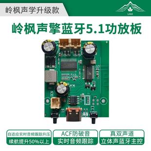 双声道可调音可充电2 8.5瓦TWS立体声蓝牙功放板单节电池供电声卡