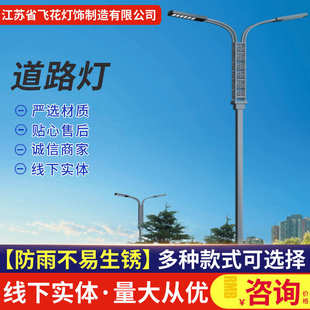 厂家供应道路灯杆 高速户外市电路灯 道路照灯杆 太阳能LED路灯杆