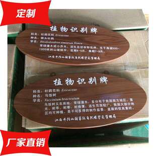 植物介绍标识牌户外园林悬挂树牌花草介绍挂牌景区仿木纹树名牌