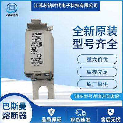 170M2670 170M2671 巴斯曼BUSSMANN熔断器保险丝
