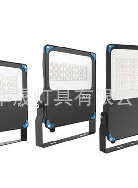 泛光灯10W20W30W50W厂家新品大功率户外防水