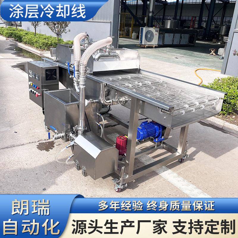 小型紫薯球上巧克力机新品柠檬片巧克力涂层机自动瀑布式淋浆机