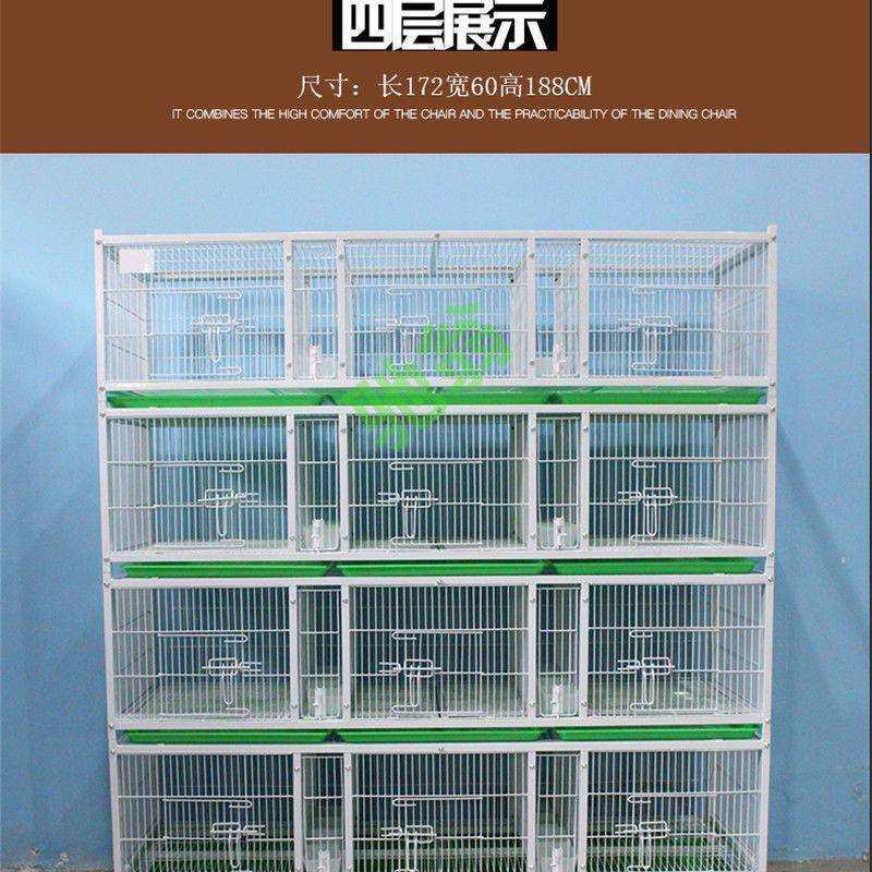 yut四层鸽子笼鸽子配对笼铁笼多层鸽笼公棚观察笼加厚加密鸽子饲