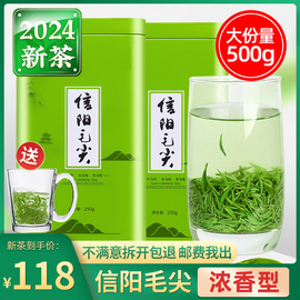 茶叶2024新茶信阳毛尖雨前嫩芽高山绿茶浓香型自己喝春茶散装500g