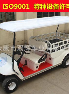 厂家定制2座电动巡逻车电动观光车度假村观光新款四轮转向系统