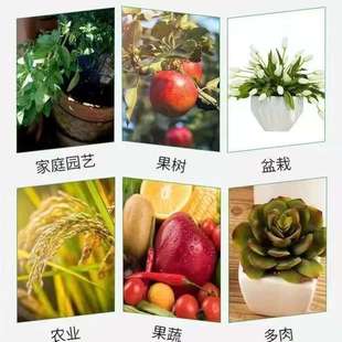 挪威进口复合肥氮磷钾复合肥花卉种菜专用通用型100斤长效复合肥