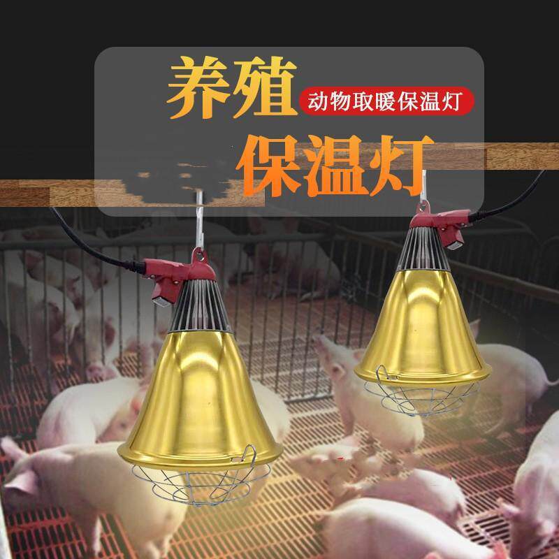 养殖保温灯罩猪用鸡鸭鹅猪取暖灯罩保温箱灯泡网罩养猪场养殖用品