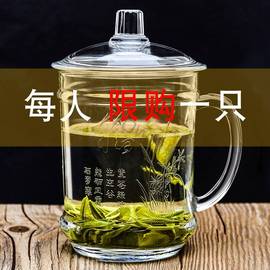 创意透明玻璃杯带盖把手耐热水杯女泡茶喝茶杯子带把家用茶杯男