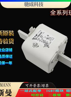 巴斯曼170M6080 170M6081 170M6082 加工制作量大价优 原装熔断器