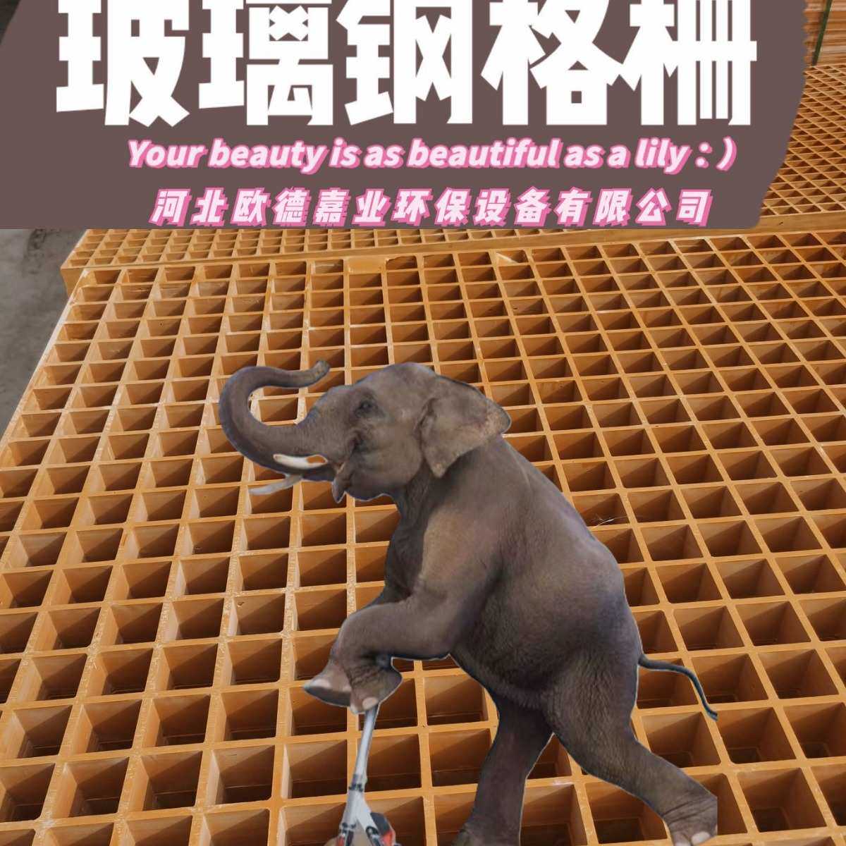 玻璃钢格栅洗车房下水道地格栅排水沟盖板养殖漏粪板易施工