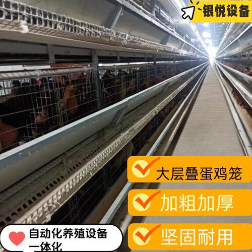 H型全自动化立式层叠养殖养鸡大层叠设备捡蛋/清粪/饮水/喂料