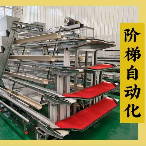 低破蛋率阶梯蛋鸡笼倾斜式滚蛋设计软质集蛋带