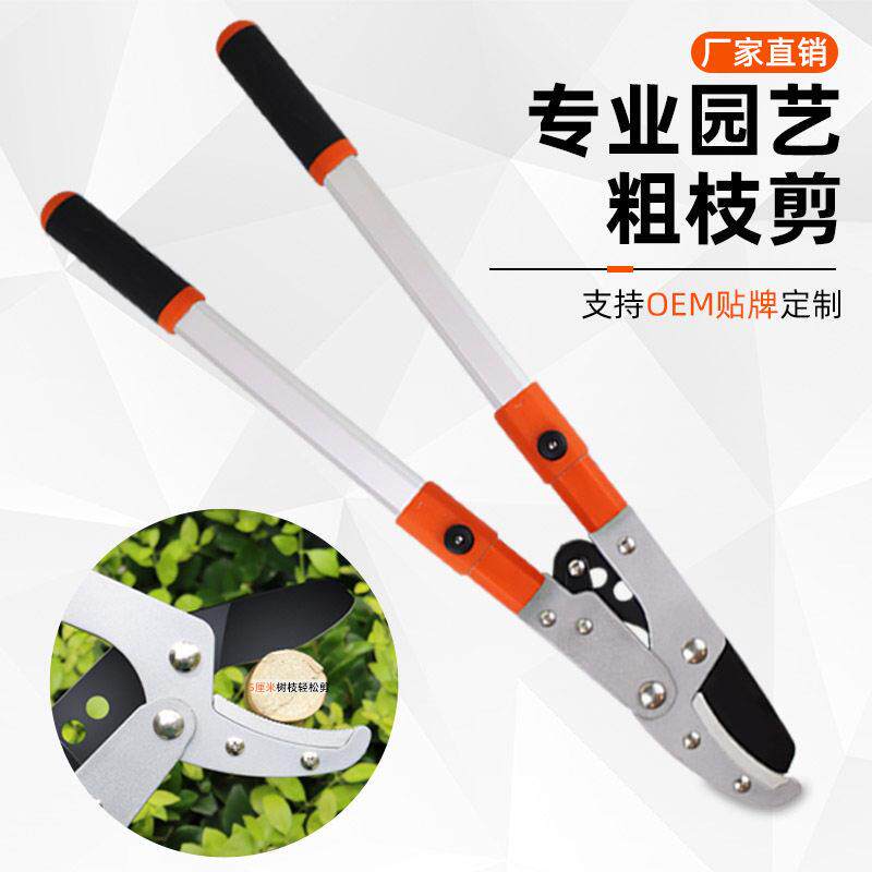 伸缩粗枝剪修树枝剪刀园艺果树剪刀枝剪园林强力粗枝剪大力剪子