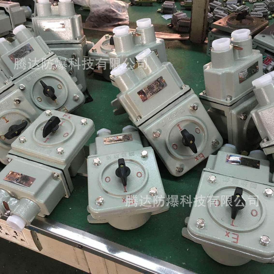 石化bhz51系列防爆转换开关 10a 25a电器控制开关厂家