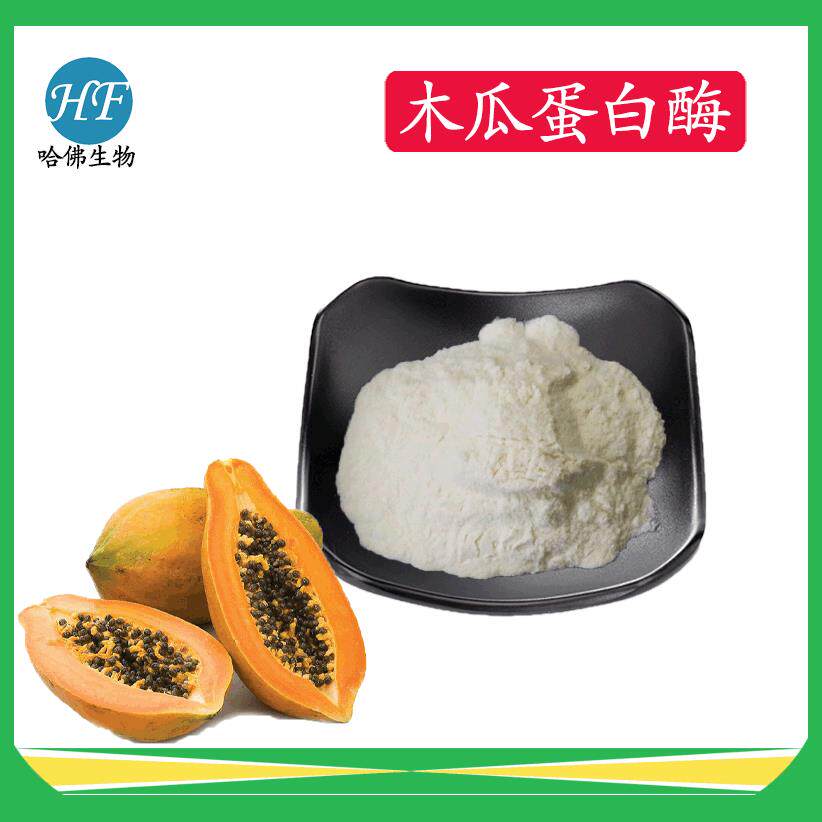 木瓜蛋白酶20万u/g木瓜提取物木瓜酵素现货供应