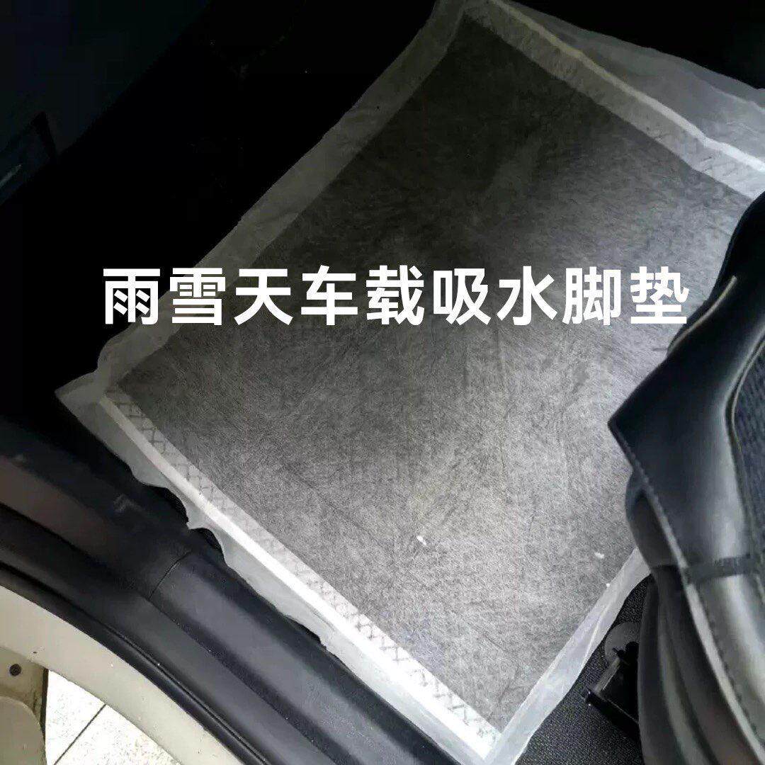 雨雪天汽车载脚垫下雨天入户地垫副驾驶一次性吸水防脏脚垫宠物垫