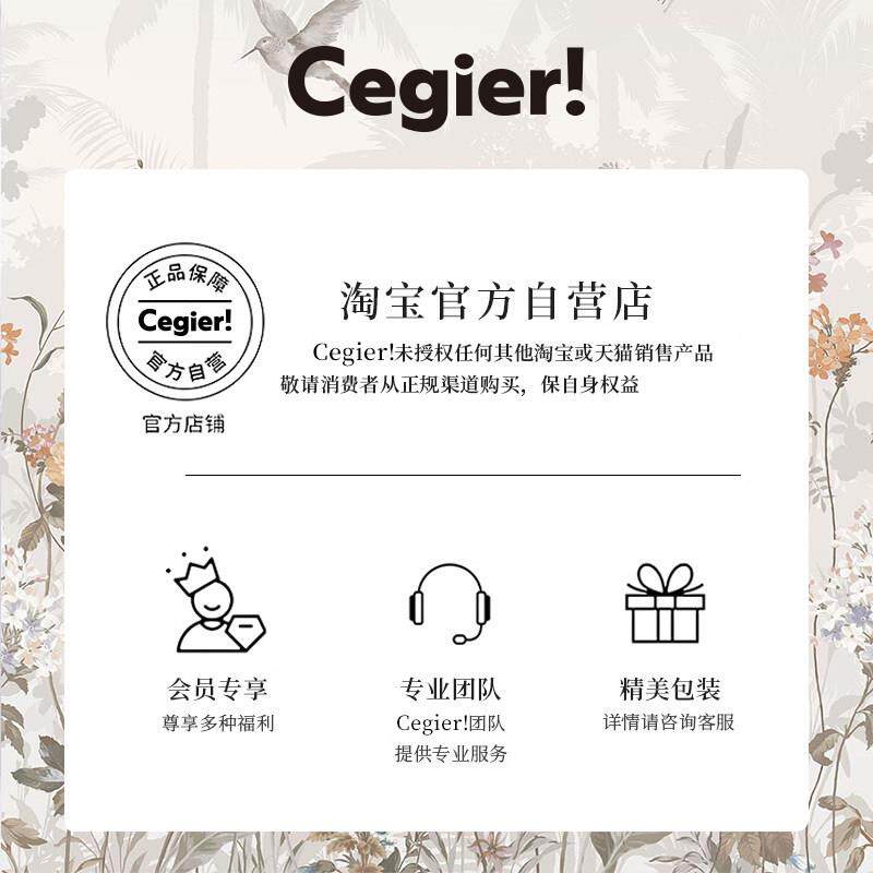 Cegier.无盖垃圾桶2025新款家用客厅厨房卧室卫生间高颜值 | 峨山
