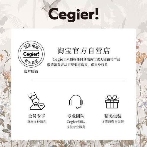 Cegier.无盖垃圾桶2025新款家用客厅厨房卧室卫生间高颜值 | 峨山