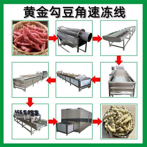 黄金勾豆角加工设备 红金勾豆角蒸煮速冻流水线 速冻青刀豆加工机