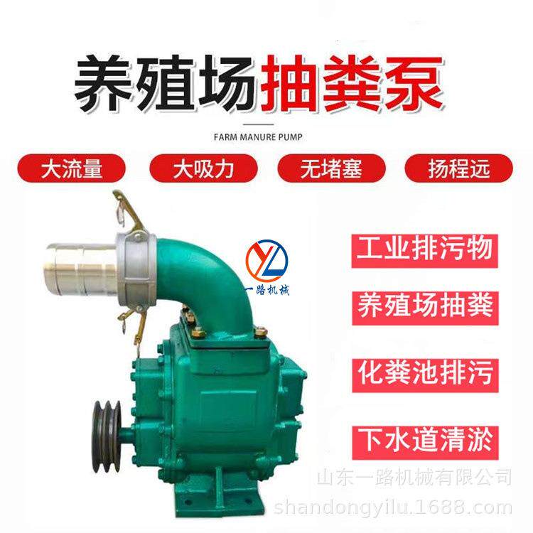 2寸3寸4寸电机款抽粪泵 直吸直排污水泵 不堵塞吸力大泥浆泵