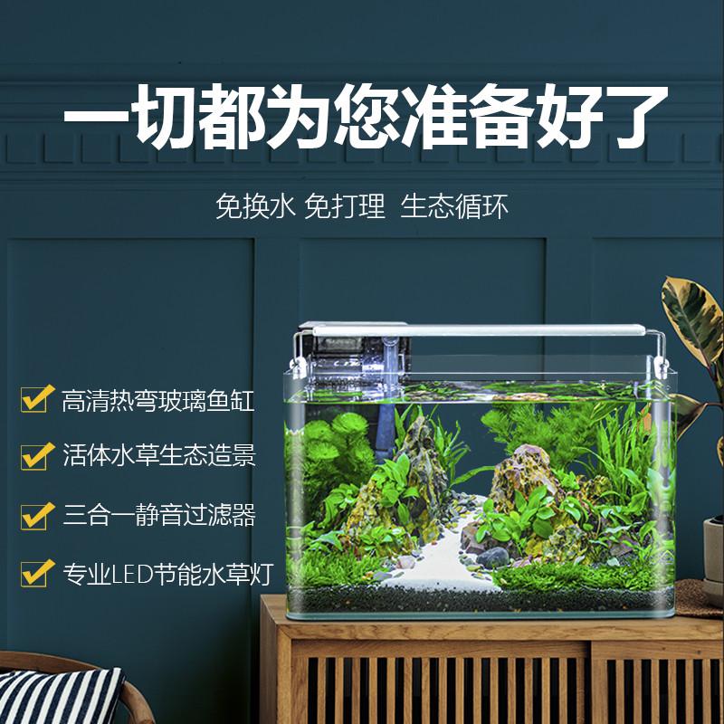 鱼缸客厅2025新款桌面家用小型金鱼缸全套造景真水草生态免换水缸