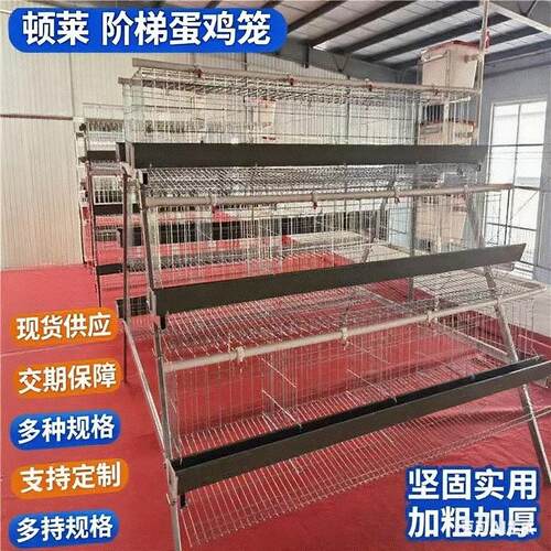 跨境外贸阶梯式蛋鸡笼鸡舍养殖场用蛋鸡笼加粗加密冷镀锌A型鸡笼