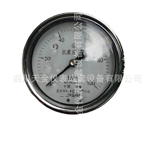 华峰仪表耐震高压压力表YN-100 耐震抗震充油表径向高精度0~60MPA
