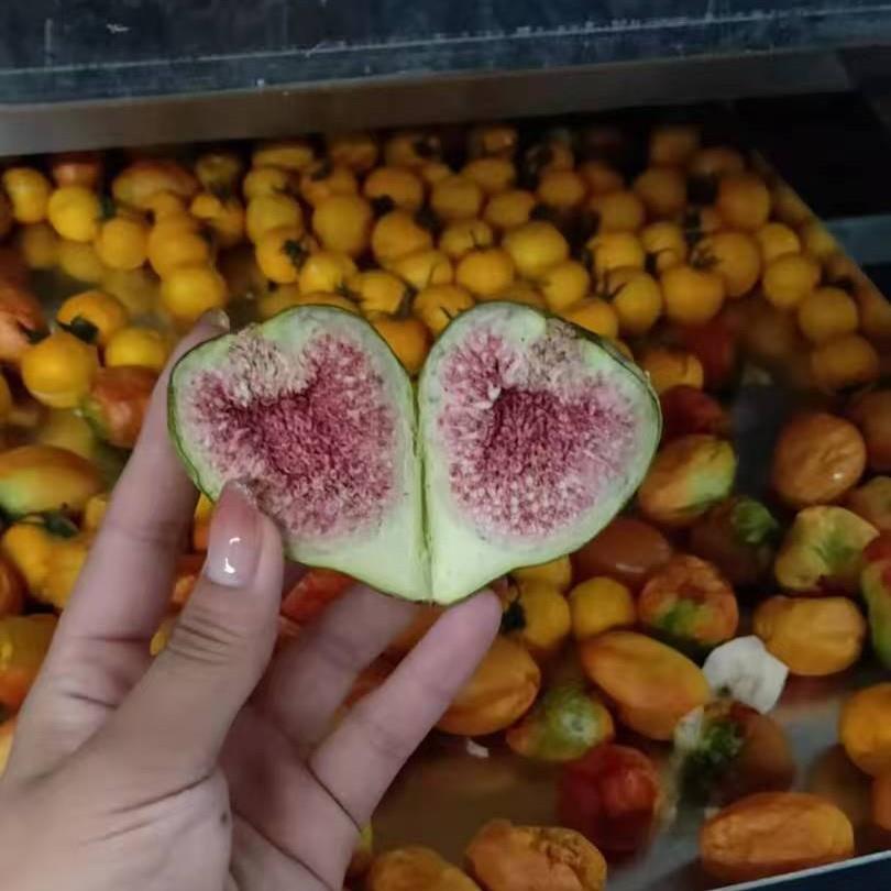 宠物粮真空低温冻干机鹌鹑鸡胸肉冷冻干燥保鲜机果蔬脆灵芝冻干机