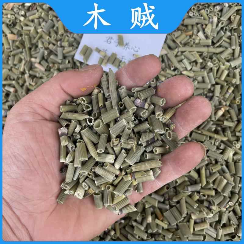 木贼草木贼草节节草千峰草节骨草无心草笔头草